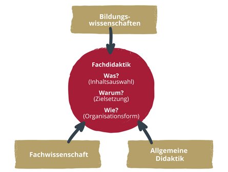 Die Fachdidaktik und ihre drei Bezugsdisziplinen: Fachwissenschaft, Allgemeine Didaktik und Bildungswissenschaft